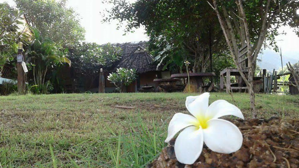 Banpak Phusuay Hotel Pai Ngoại thất bức ảnh